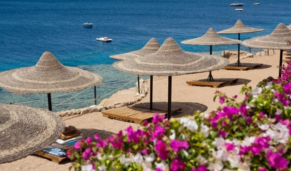 Египет в мае: высокий сезон по умеренной цене Египет в мае: высокий сезон по умеренной цене