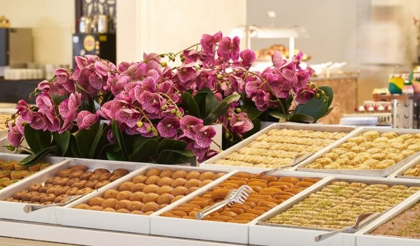 Анталья в феврале: на границе двух сезонов Анталья в феврале: на границе двух сезонов