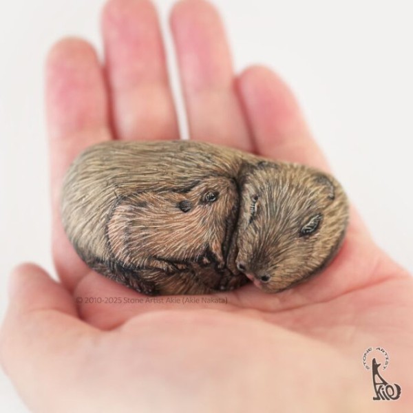 Японская художница оживляет камни, рисуя на них животных (20 фото) Японская художница оживляет камни, рисуя на них животных (20 фото)