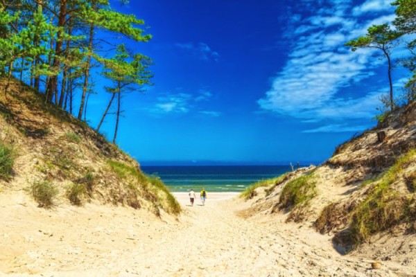 Достопримечательности Польши: Топ-28 (Описание + ФОТО) Достопримечательности Польши: Топ-28 (Описание + ФОТО)