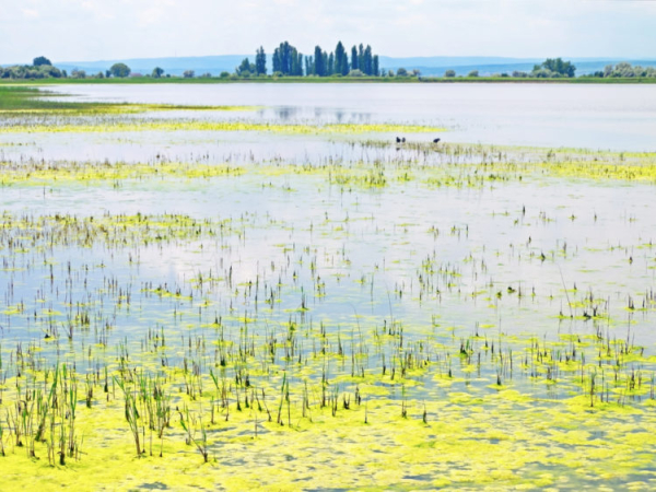 Достопримечательности Австрии: Топ-25 Достопримечательности Австрии: Топ-25