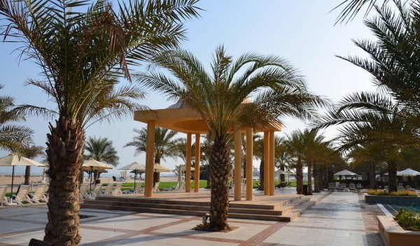 ОАЭ в апреле: по-настоящему теплый прием ОАЭ в апреле: по-настоящему теплый прием