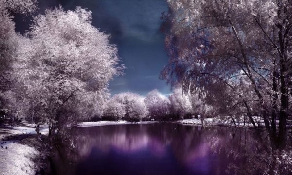 Инфракрасная фотография (12 фото) Инфракрасная фотография (12 фото)