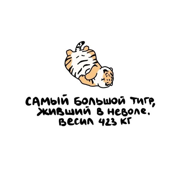 Интересные факты о разном (15 фото) Интересные факты о разном (15 фото)