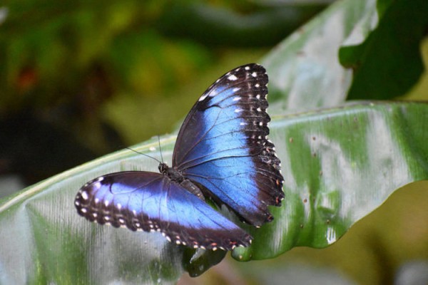 Достопримечательности Люксембурга: Топ-23 Достопримечательности Люксембурга: Топ-23