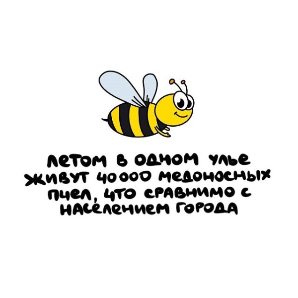 Интересные факты о разном (15 фото) Интересные факты о разном (15 фото)