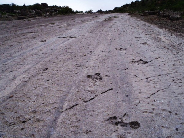 Достопримечательности Туркмении: Топ-15 Достопримечательности Туркмении: Топ-15