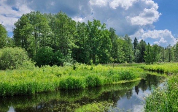 Достопримечательности Белоруссии: Топ-15 Достопримечательности Белоруссии: Топ-15