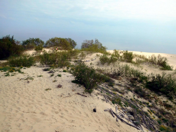 Экскурсия на Куршскую косу и как съездить самостоятельно Экскурсия на Куршскую косу и как съездить самостоятельно