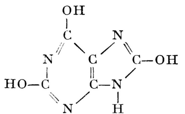 Каким образом птичий помет вредит кузову автомобиля и как его можно легко убрать Каким образом птичий помет вредит кузову автомобиля и как его можно легко убрать
