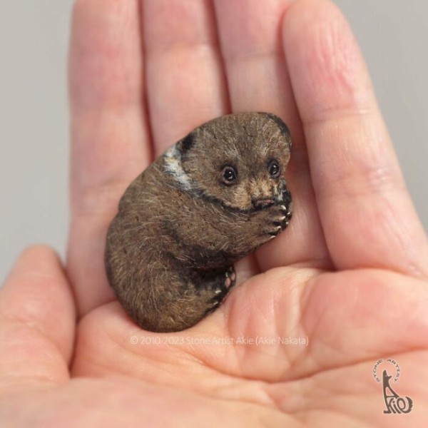 Японская художница оживляет камни, рисуя на них животных (20 фото) Японская художница оживляет камни, рисуя на них животных (20 фото)