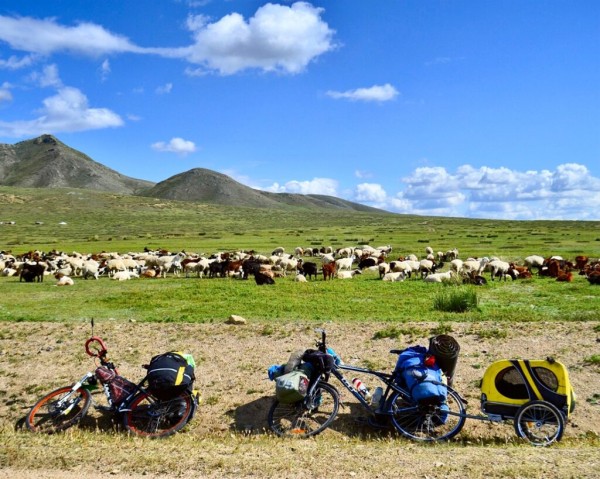 История Анны Смолиной, которая проехала с собакой полстраны на велосипеде История Анны Смолиной, которая проехала с собакой полстраны на велосипеде
