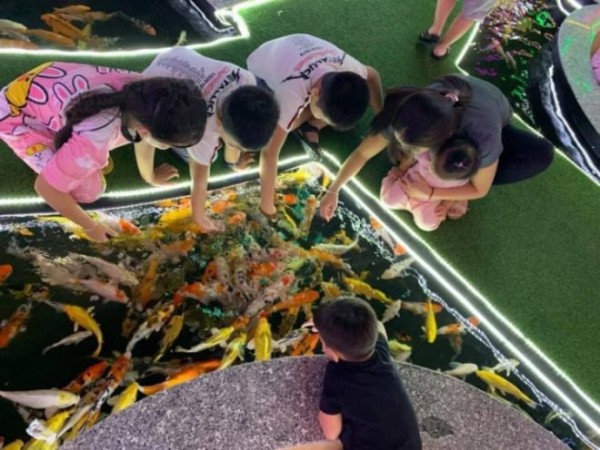 Как выглядят кафе с золотыми рыбками в Хошимине Как выглядят кафе с золотыми рыбками в Хошимине