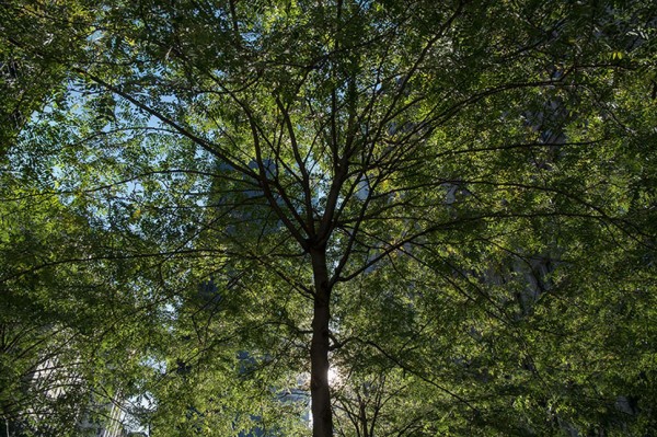 Как выглядят знаменитые туристические места, если развернуть фотокамеру в другую сторону Как выглядят знаменитые туристические места, если развернуть фотокамеру в другую сторону