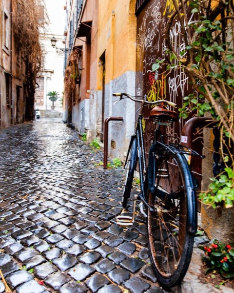 Когда фотограф едет в отпуск Когда фотограф едет в отпуск