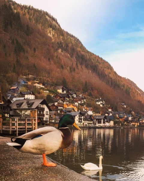 Когда фотограф едет в отпуск Когда фотограф едет в отпуск