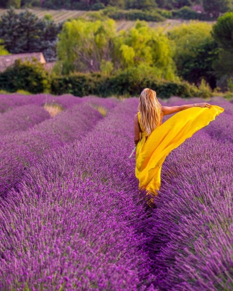Когда фотограф едет в отпуск Когда фотограф едет в отпуск
