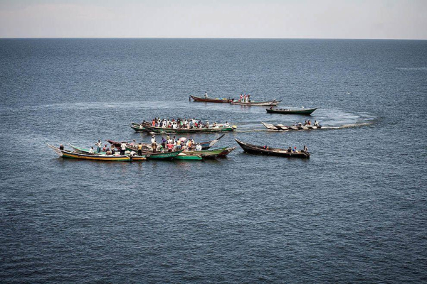 Мгинго — самый густонаселенный остров в мире Мгинго — самый густонаселенный остров в мире