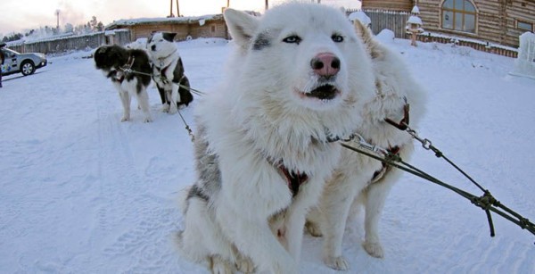 То, да не то: самые известные фейковые достопримечательности То, да не то: самые известные фейковые достопримечательности