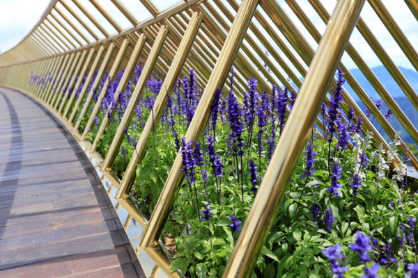 Золотой мост в Дананге — место во Вьетнаме, которое нужно увидеть каждому Золотой мост в Дананге — место во Вьетнаме, которое нужно увидеть каждому