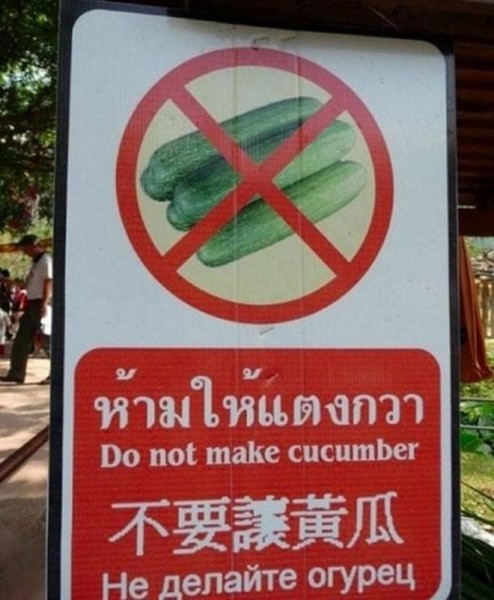 22 забавных и странных дорожных знака, которые поднимут вам настроение 22 забавных и странных дорожных знака, которые поднимут вам настроение