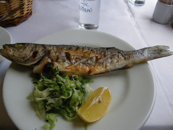 Лучшие достопримечательности Авсаллара 2024 (ФОТО) Лучшие достопримечательности Авсаллара 2024 (ФОТО)