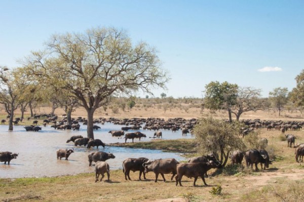 Достопримечательности Шри-Ланки: Топ-22 Достопримечательности Шри-Ланки: Топ-22